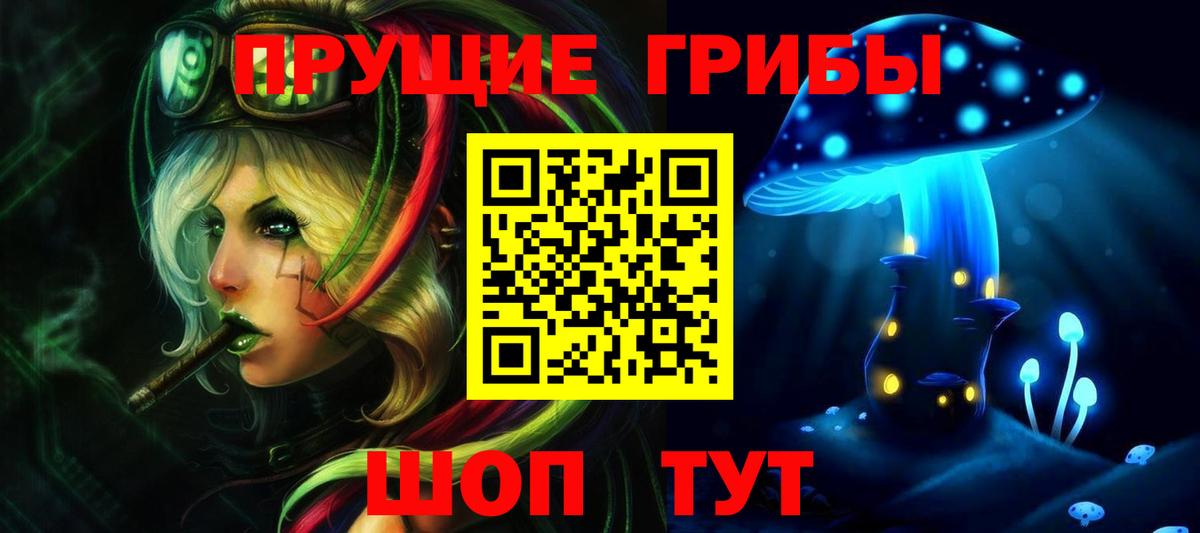 Богородск  Псилоцибиновые грибы прущие грибы  Вход с VPN  Галлюциногенные грибы прущие грибы 