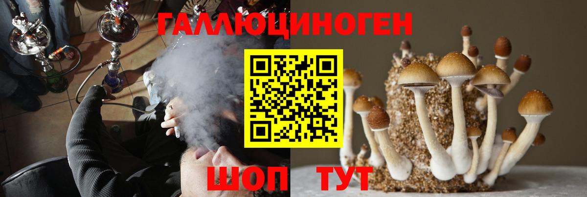 Галлюциногенные грибы GOLDEN TEACHER Богородск